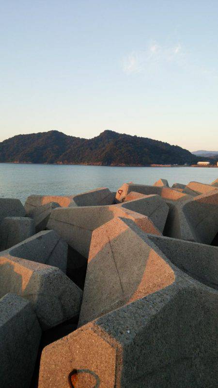 釣り人のマナーの悪さに…
