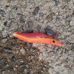 やる気はあるものの