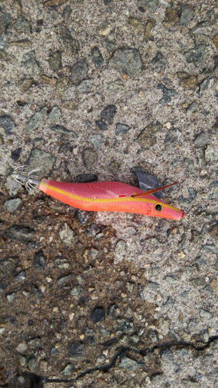 やる気はあるものの