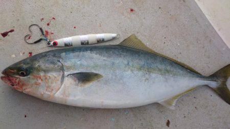 アルバトロス乗船