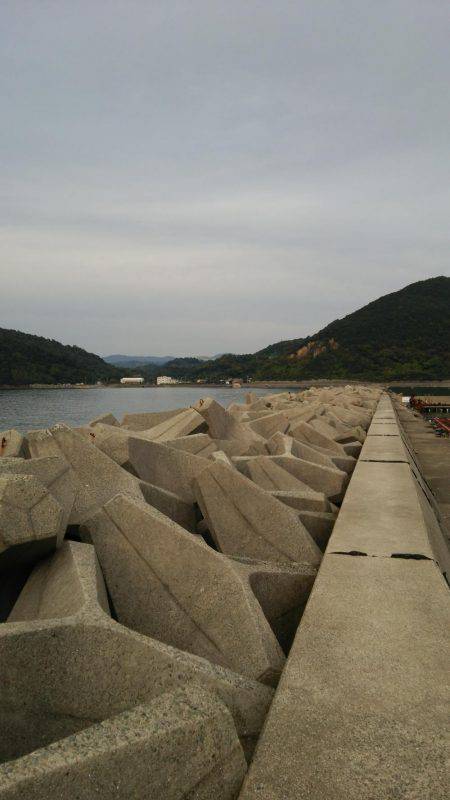 なんとか坊主回避