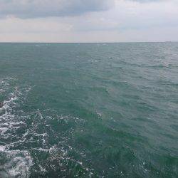 狙い通りには届かずも