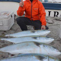 アルバトロス、朝から青物ラッシュ