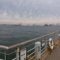 時合いは一瞬でした