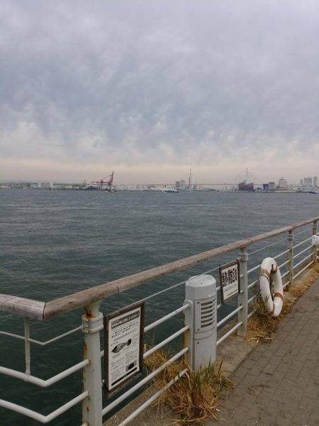 時合いは一瞬でした