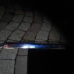 春木ベランダでタチウオ