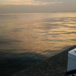 やっぱ引き釣りには勝てません(>_<)