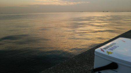 やっぱ引き釣りには勝てません(>_<)