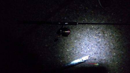 サイサキワルシ。