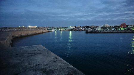 久々のアオリ♪