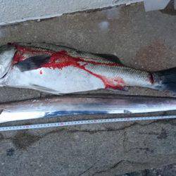 出勤前の30分で…