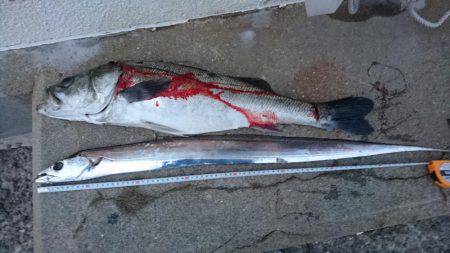 出勤前の30分で…