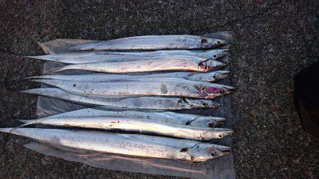 朝まずめアタリ多し