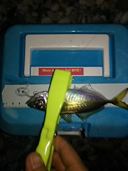 シャローアジング