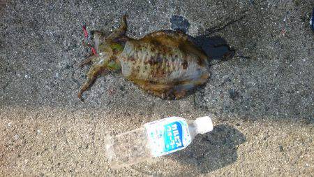 初めての場所へ