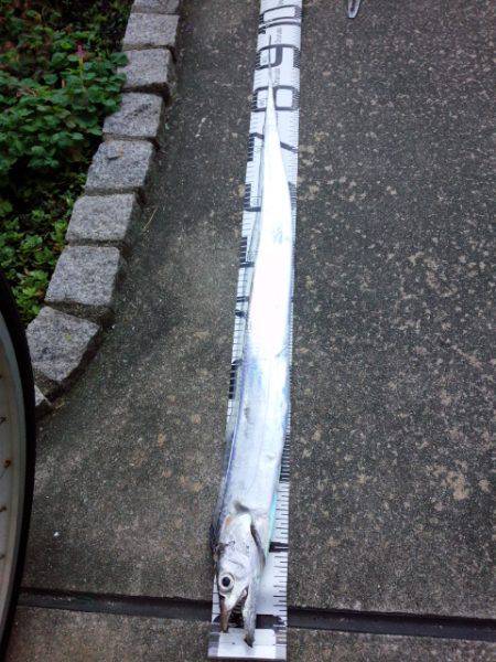 南港初ポイントへ