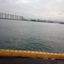 昨日とは全く異なる状況