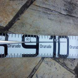 ドラゴン級バラシ後ドラゴンゲット、、、