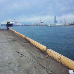 サイズダウンしました。