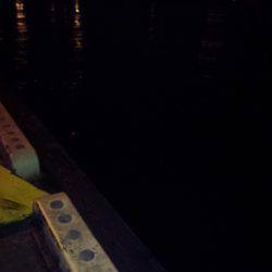 寒い中….それなりに