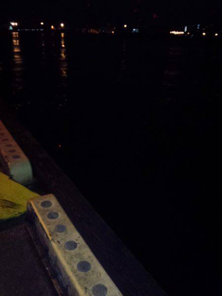 寒い中….それなりに