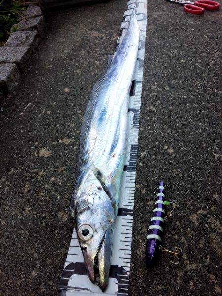 アンチョビでドラゴン