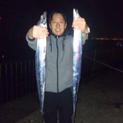 タチウオフィーバー