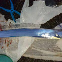 ドラゴンフィーバー