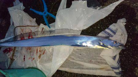 ドラゴンフィーバー