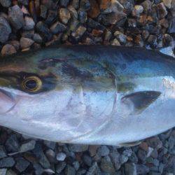 ショアジギング釣行