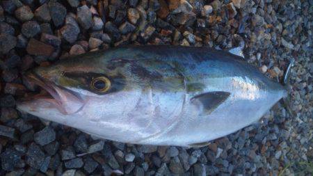 ショアジギング釣行