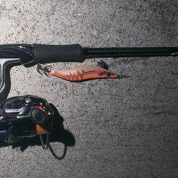 いいサイズのアオリイカでした！！