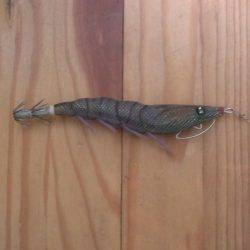 久々のアオリイカ複数釣れました！