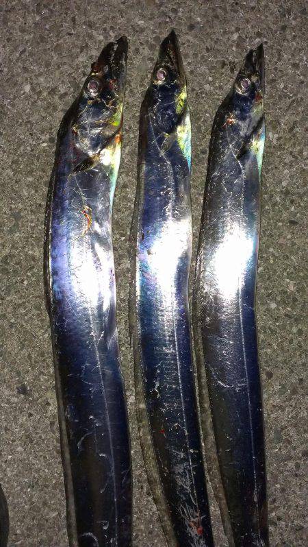 昨日のリベンジ