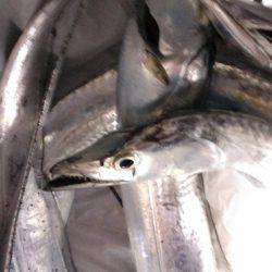 本格的シーズン到来