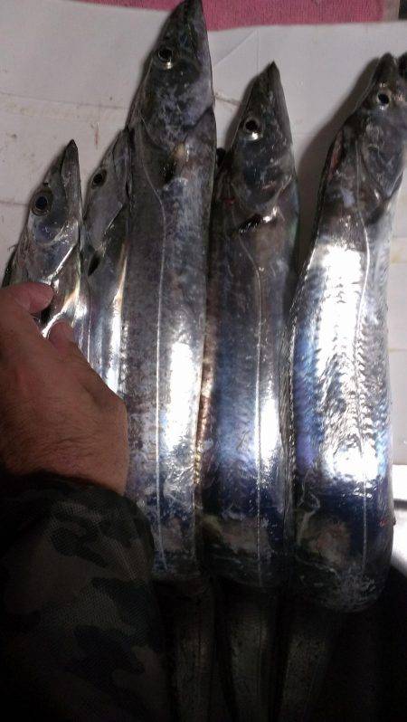 昨日の分も釣れたな