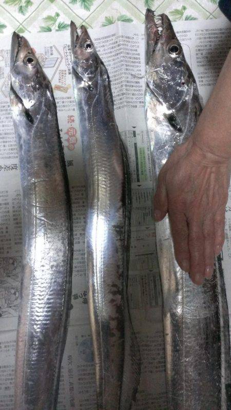 ドラゴン(級)ゲット！