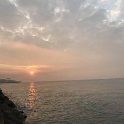 ミノーでタチウオ\(^o^)/