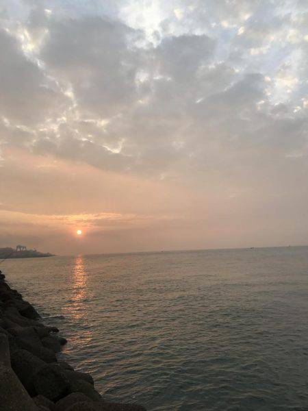 ミノーでタチウオ\(^o^)/