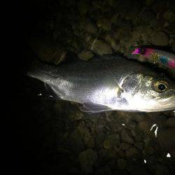 落ち鮎パターン