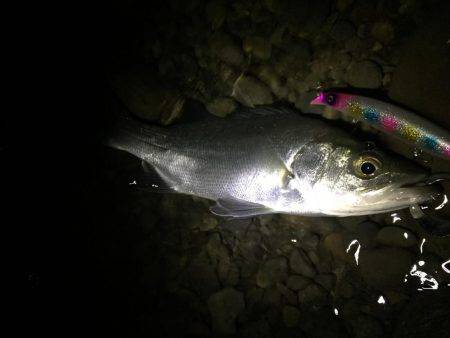 落ち鮎パターン