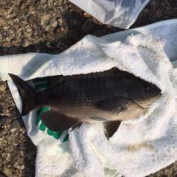 有田川河口で、