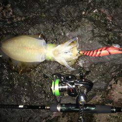 そろそろホゲるかと…