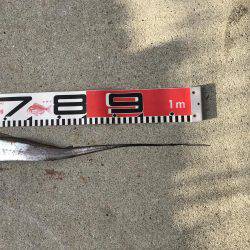 劇渋のなか、嬉しさ倍増!