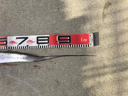 劇渋のなか、嬉しさ倍増!