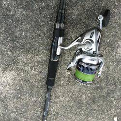 タチウオまだいける