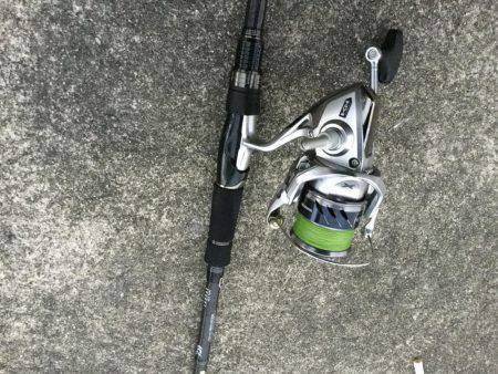 タチウオまだいける