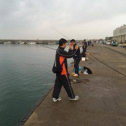 33年ぶりのカレイ！