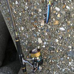 むむむ・・無念!