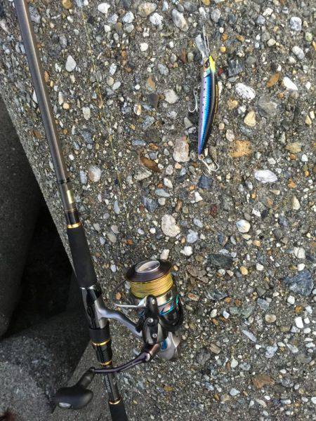 むむむ・・無念!